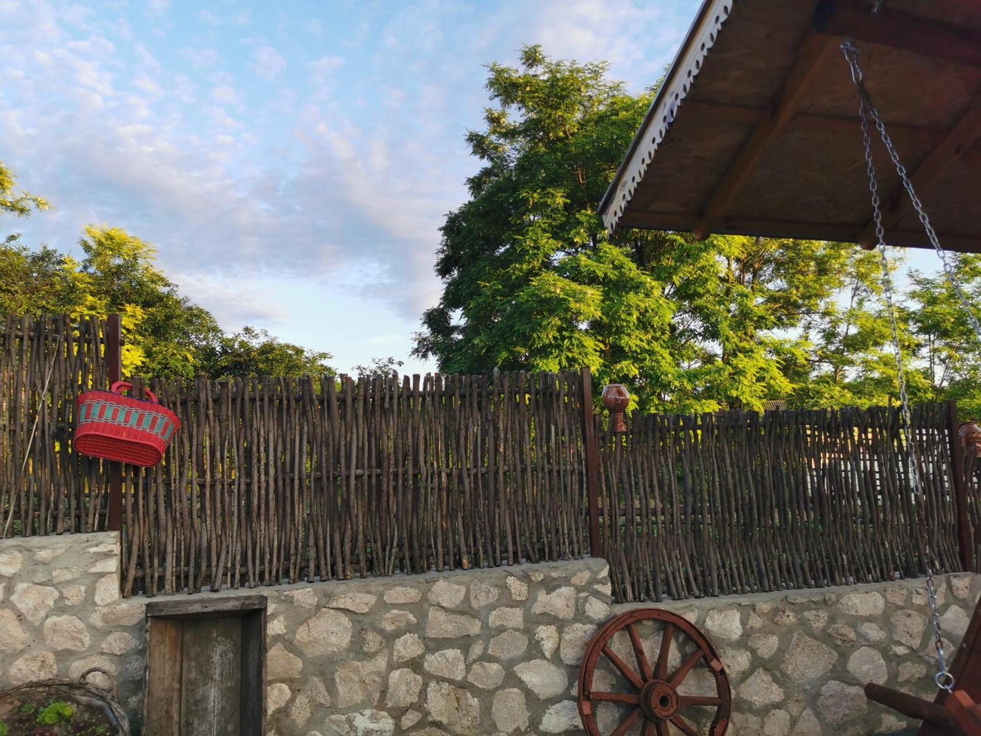 La Madalina Bed and Breakfast Selemet Εξωτερικό φωτογραφία