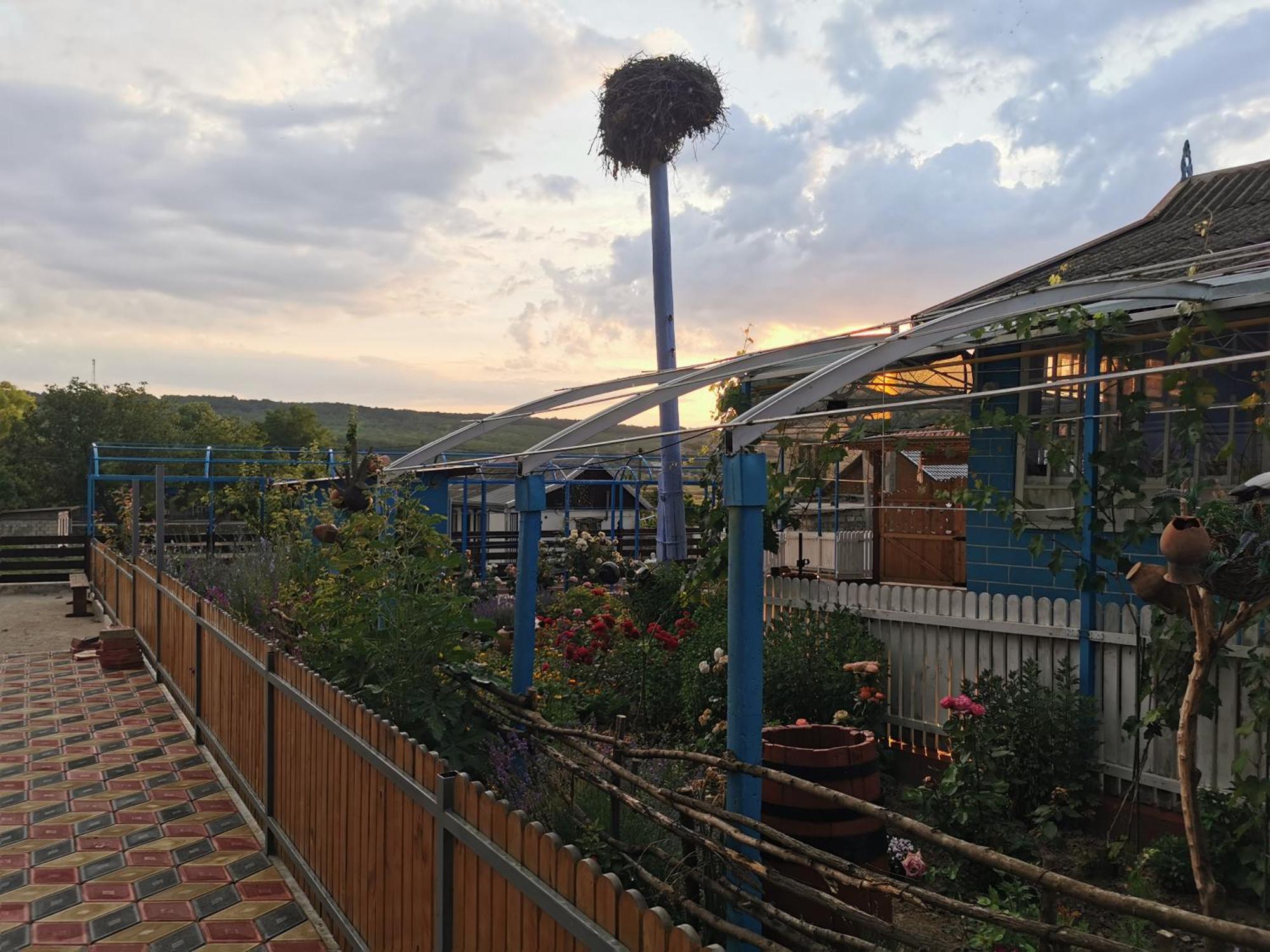 La Madalina Bed and Breakfast Selemet Εξωτερικό φωτογραφία