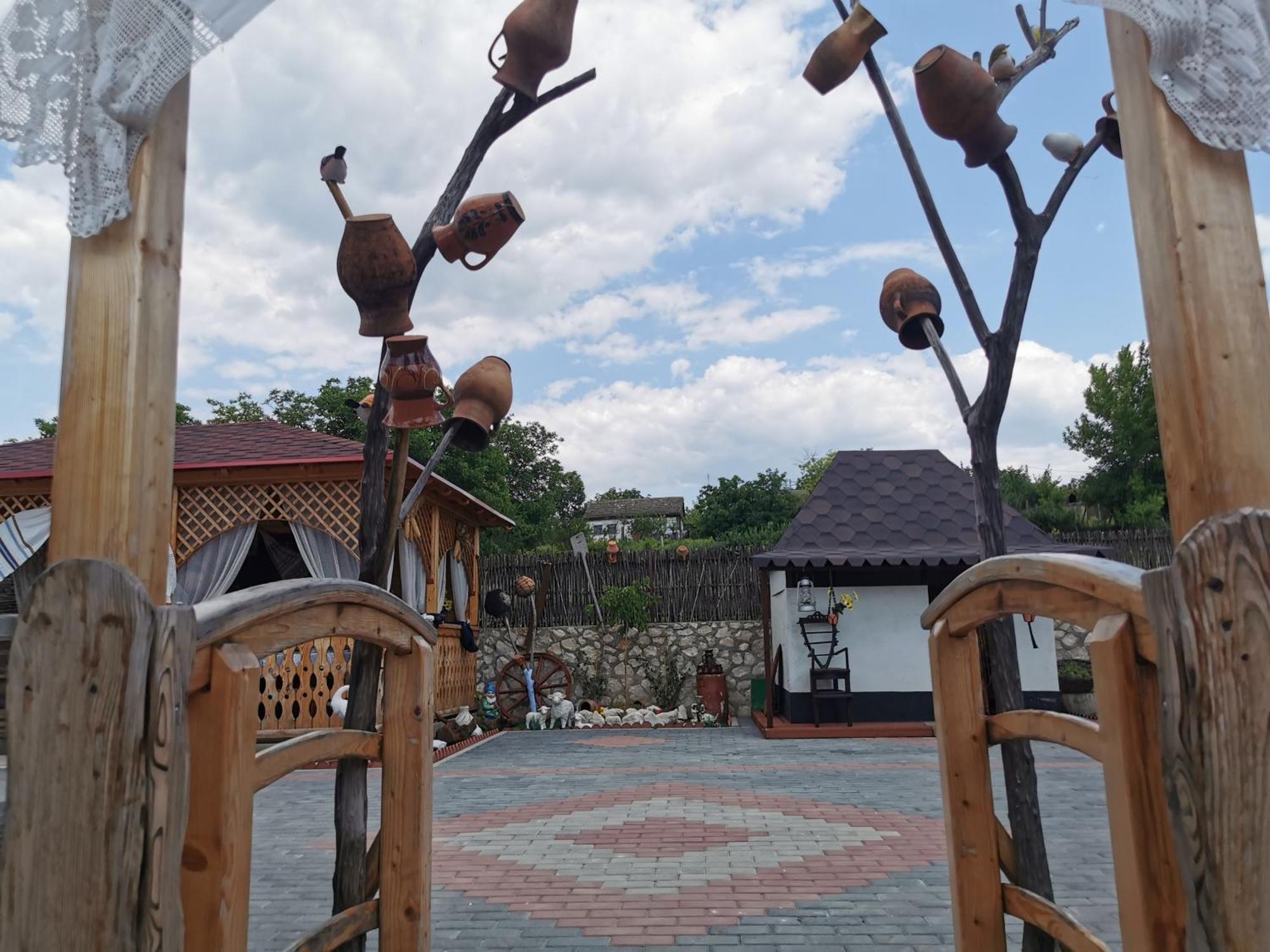 La Madalina Bed and Breakfast Selemet Εξωτερικό φωτογραφία