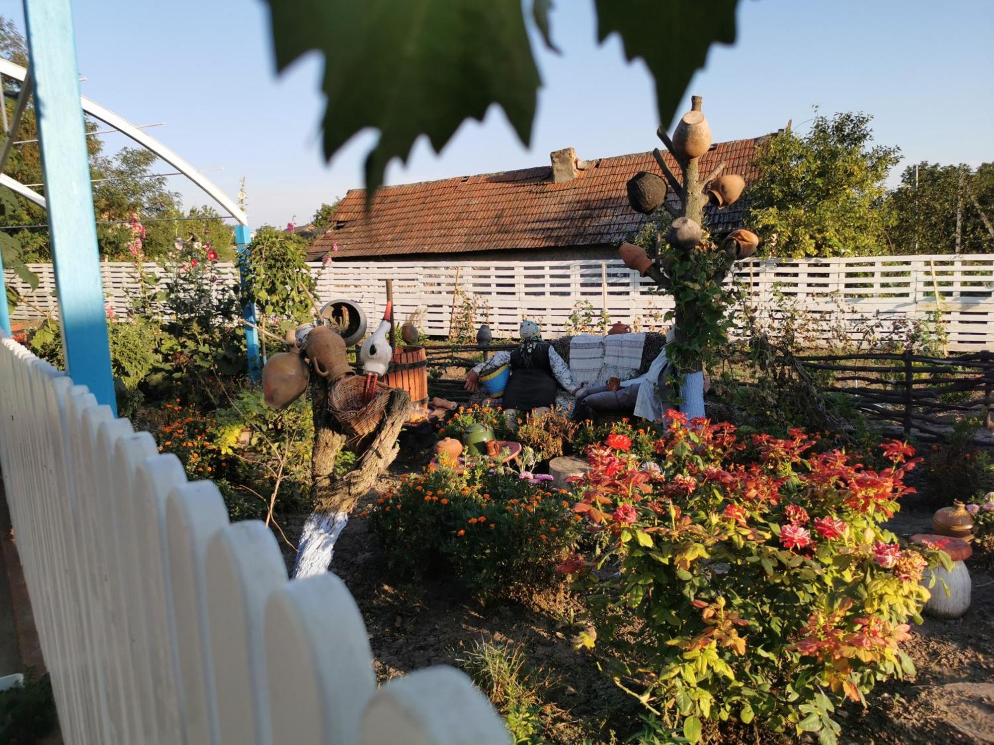La Madalina Bed and Breakfast Selemet Εξωτερικό φωτογραφία
