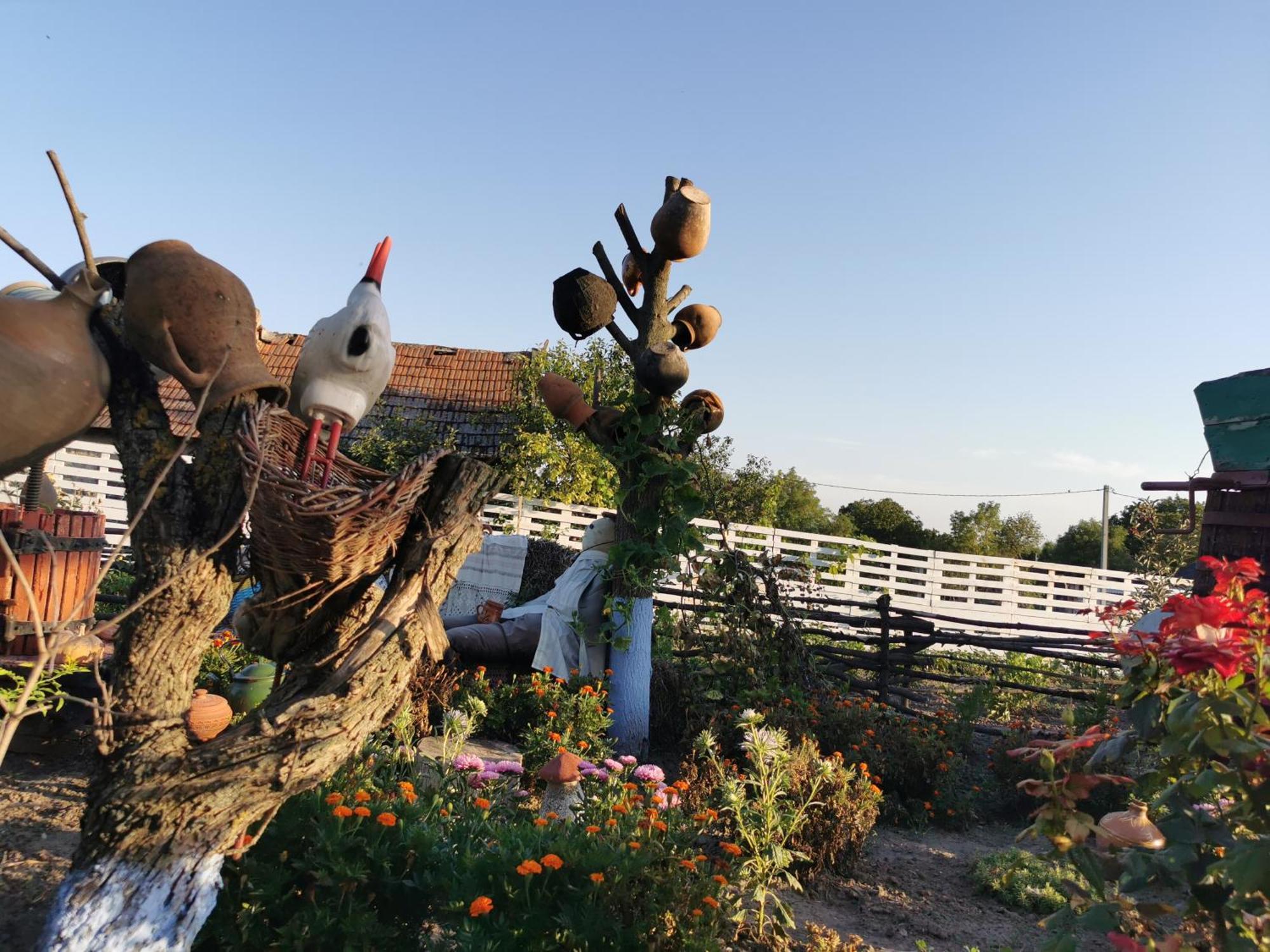 La Madalina Bed and Breakfast Selemet Εξωτερικό φωτογραφία