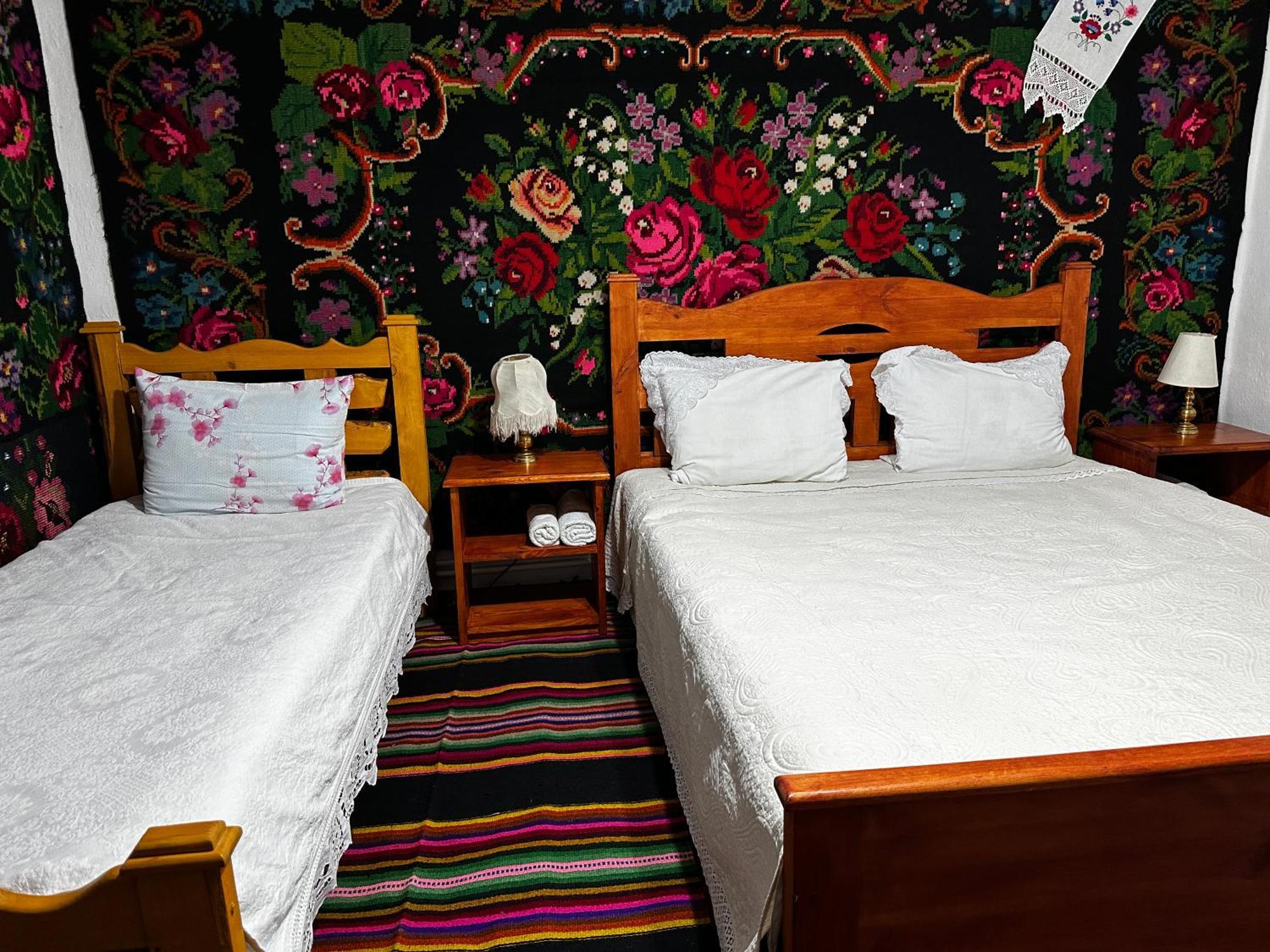 La Madalina Bed and Breakfast Selemet Εξωτερικό φωτογραφία